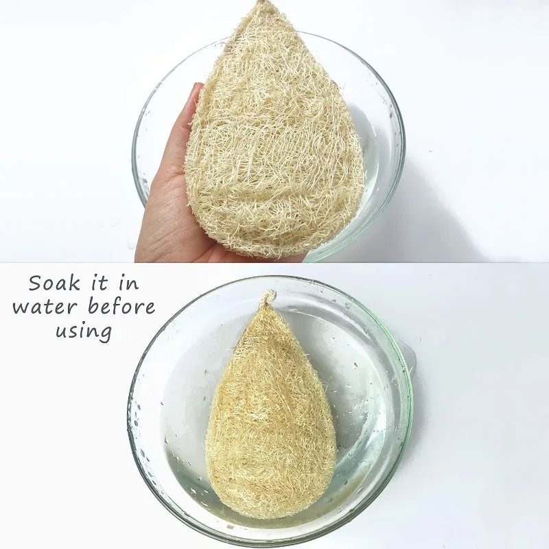 Natural Loofah Dish Sponge 100% Biodegradable Dishwashing