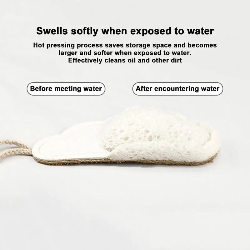 Organic Sponges Compostable Dish Scrubber Sponge